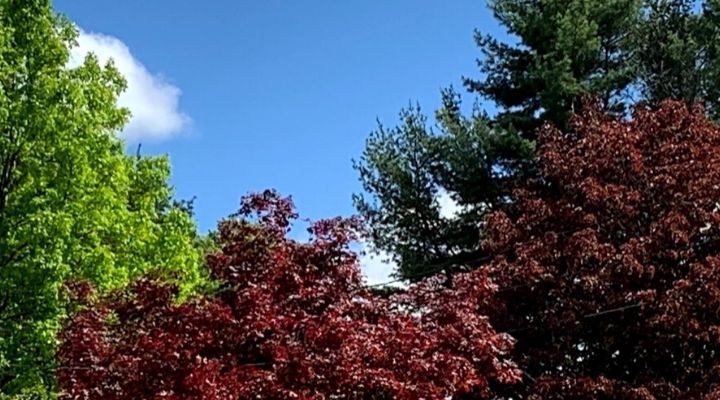 Meteorologist Brad Field predicts spectacular weather for Connecticut, starting June 12, 2020.