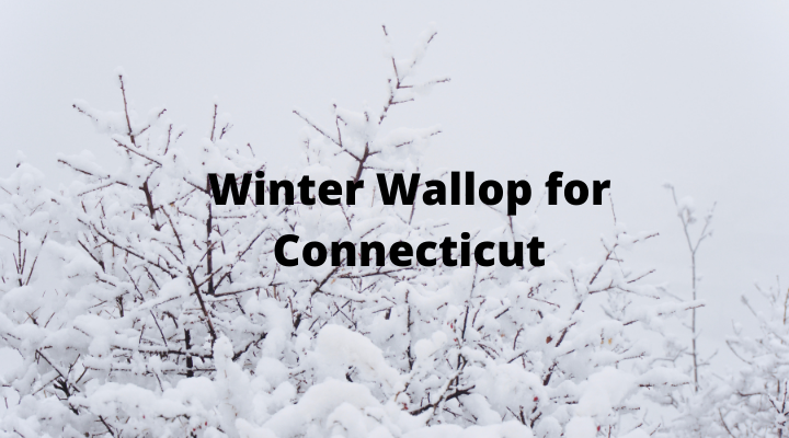 Friday storm packs winter wallop for Connecticut | Ep. 156