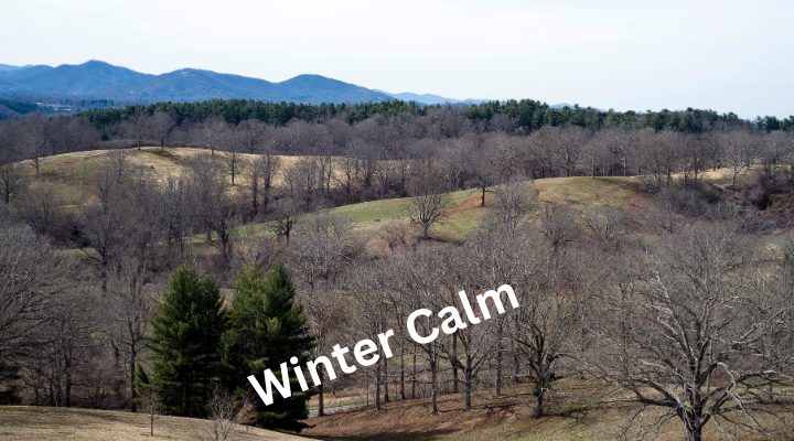 A calm stretch of weather will be a prelude to possibly stormy, winter weather, says meteorologist Brad Field.