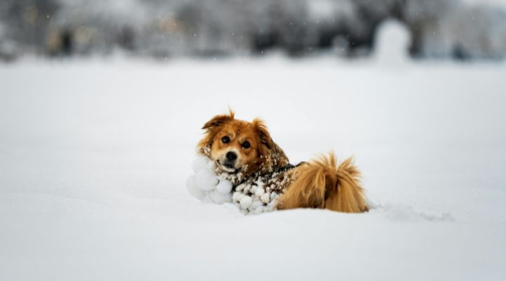 Weekend snow precedes Arctic air. Snow for Christmas? | Ep. 204