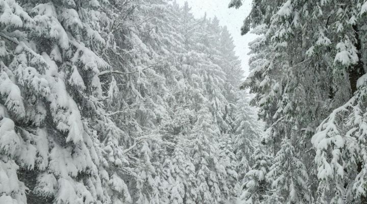 Connecticut to get slammed by snowstorm, Jan. 25-26, according to meteorologist Brad Field.
