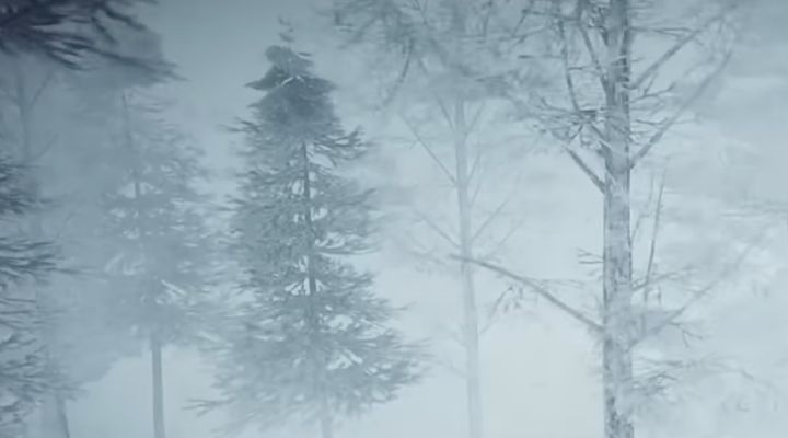 Dangerous cold and wind , preceded by snow will dominate Connecticut weather, Feb. 7 and the week of Feb. 8.